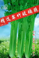 精选翠竹玻璃翠