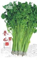 香山芹