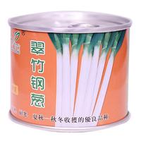 翠竹钢葱