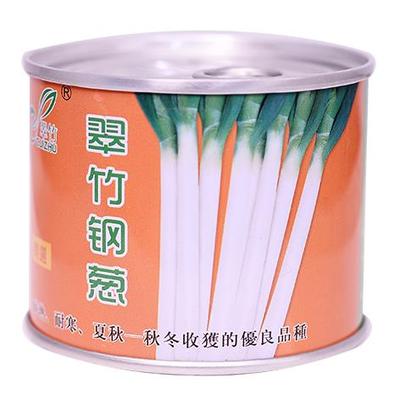 翠竹钢葱