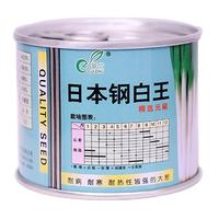 日本钢白王
