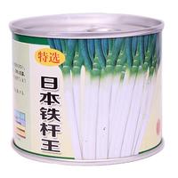 日本铁杆王