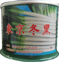 东京冬黑