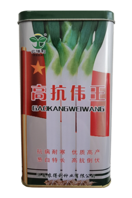 高抗伟王