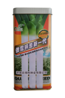 傲雪钢葱
