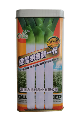 傲雪钢葱