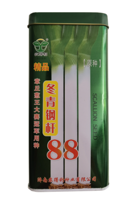 冬青钢杆88