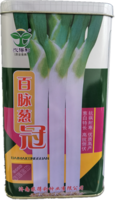 百脉巨葱
